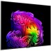 OLED телевизор LG OLED evo AI G6 OLED77G6RLA