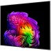 OLED телевизор LG OLED evo AI G6 OLED77G6RLA