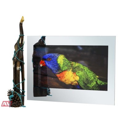 Телевизор в зеркале AVS325SM (Magic Mirror)