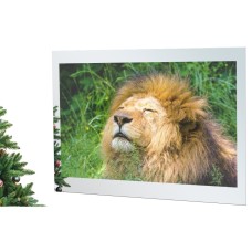 Телевизор AVEL AVS755SMFM (AVS755SM Magic Mirror) Телевизор AVEL AVS755SMFM (AVS755SM Magic Mirror)
